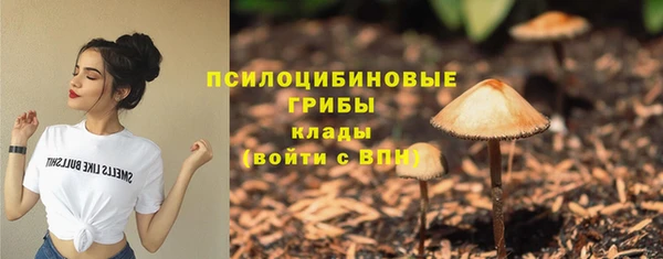 MDMA Premium VHQ Снежногорск