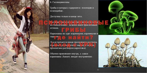 трава Беломорск