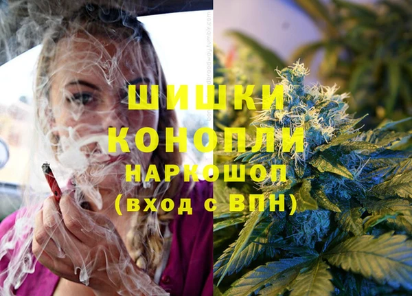 молекула духа Слюдянка