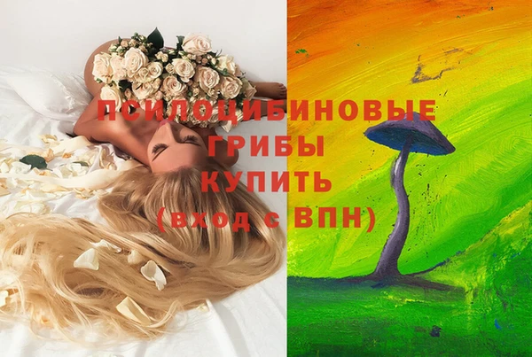мет Белокуриха