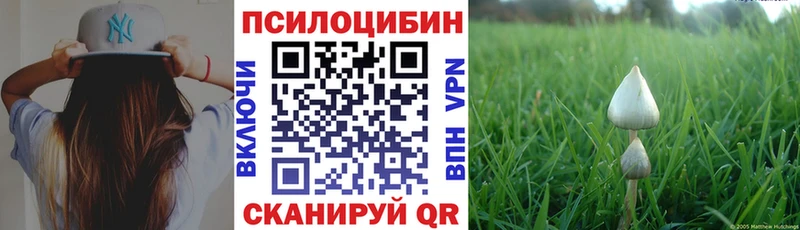 Галлюциногенные грибы Cubensis Еманжелинск